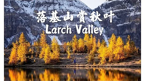 加拿大 户外（2020）班芙国家公园赏秋叶/Larch Valley落叶松谷（好美！） - 天天要闻