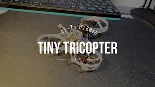 2024年最新のtiny tricopterビルド