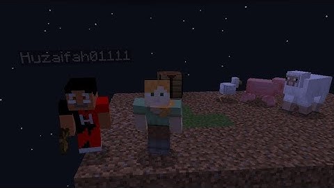 I played with my brother one block minecraft