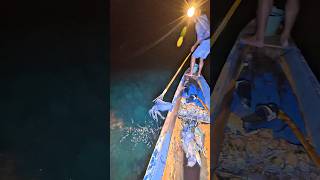 Poin  cumi-cumi jumbo 🦑🦑🔥 night Spearfishing 🦑🦑🔥