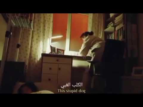 حتي الكلاب لا تساعد مشهد مثير للضحك من مسلسل مدرسة القانون 