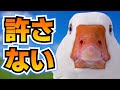 可愛いガチョウ、怒りでイカれる