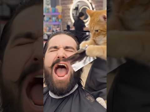 لما تغلط في مياو   