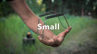 Celebrity Full Meal Deal Net Worth