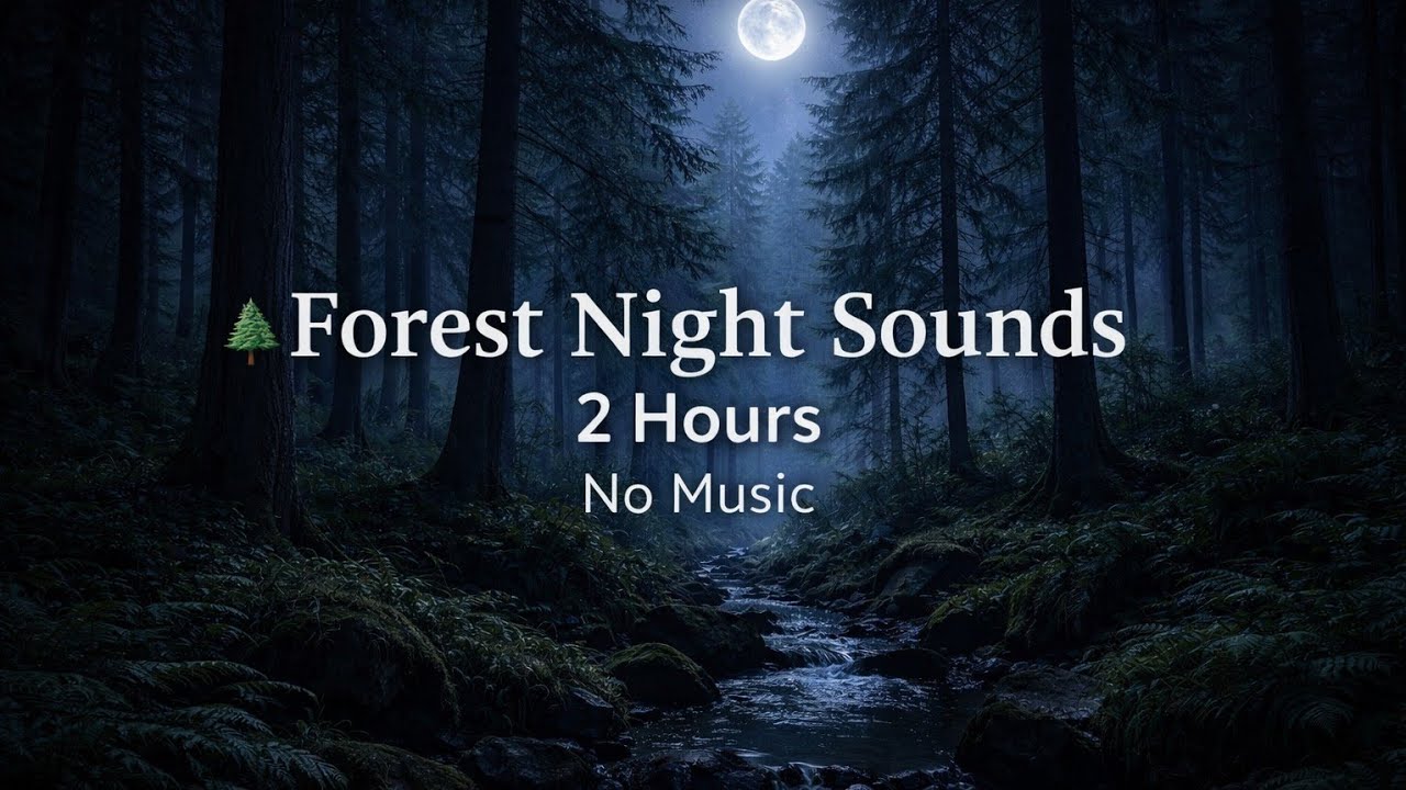 Moonlit Forest Night 🌙 | 2 Hours | No Music | Deep Sleep | 달빛 숲 밤소리 2시간 수면용