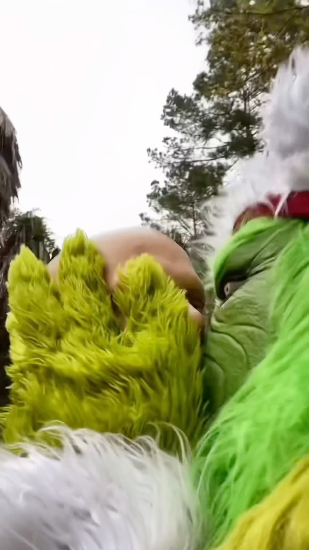 I KISS THE GRINCH! ?? #comedy #funny #grinch #christmas