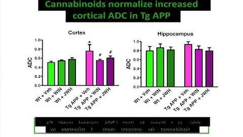 Neuroimaging Studies in a transgenic model of AD - Maria de Ceballos