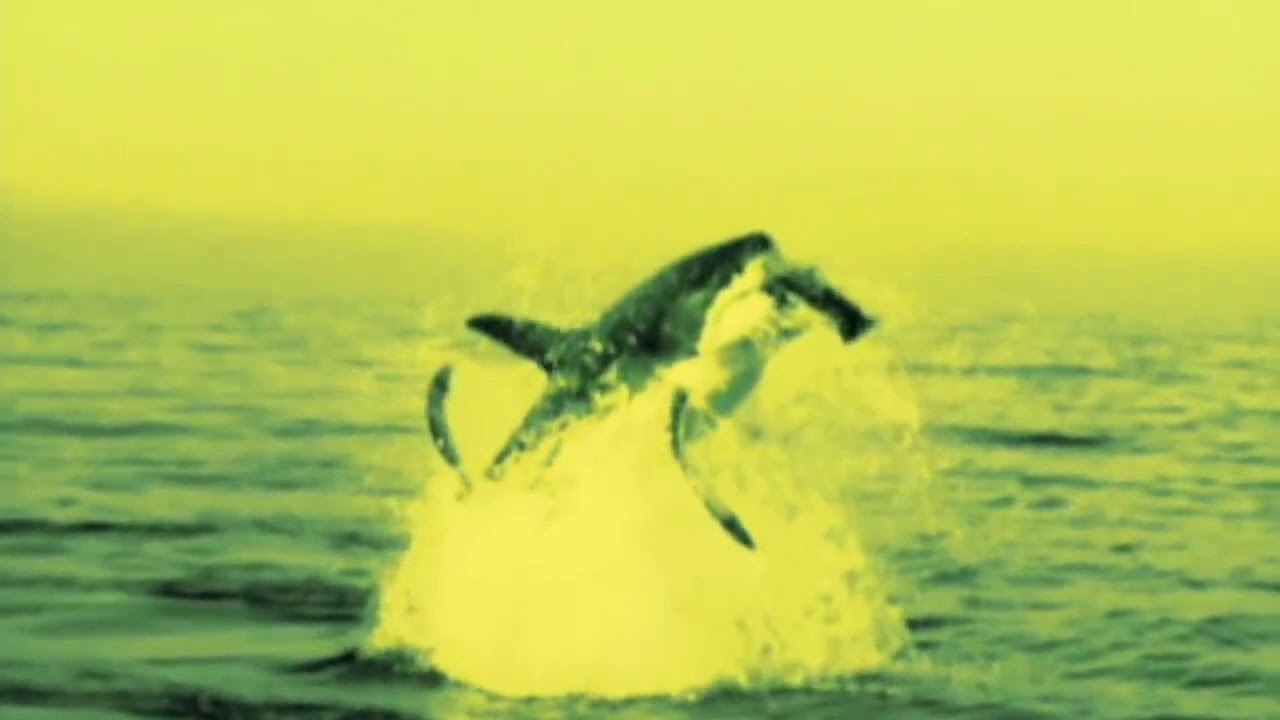 Boards of Canada Seven Forty Seven (Slowed to 1 hour) (Headphones