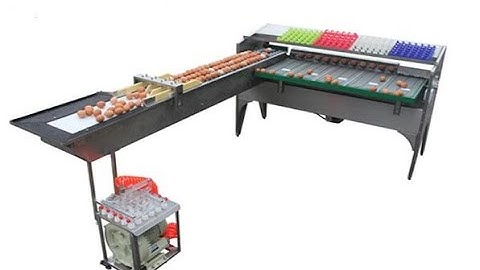 Hightop egg grading machine