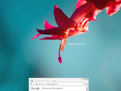 Hướng Dẫn DDos Cho New