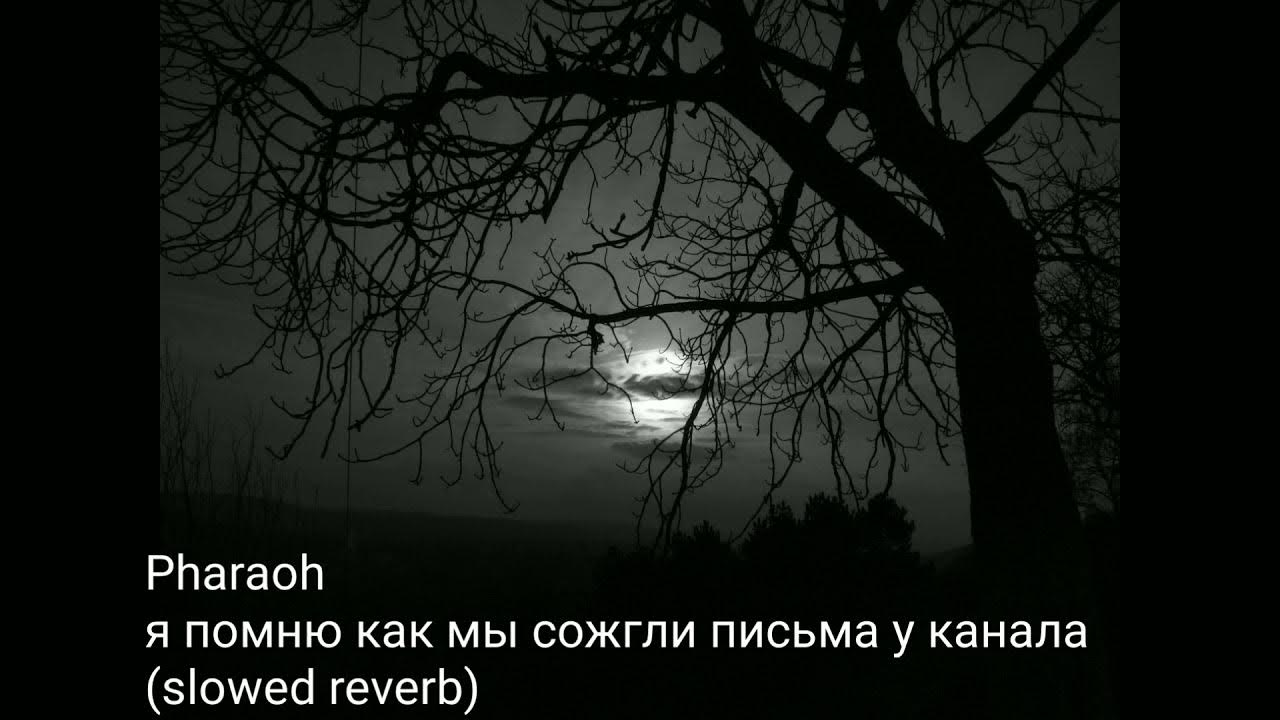 White punk и фараон. клюква pharaoh клип. Pharaoh я помню как мы клип. Pharaon я помню как мы. я помню как мы сожгли письма у канала pharaoh.