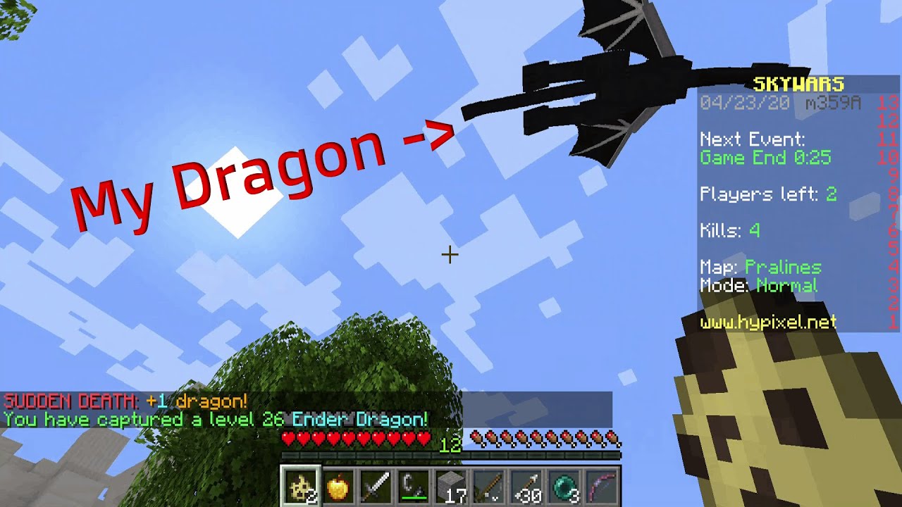 Skywars But I Can Control Dragons Youtube