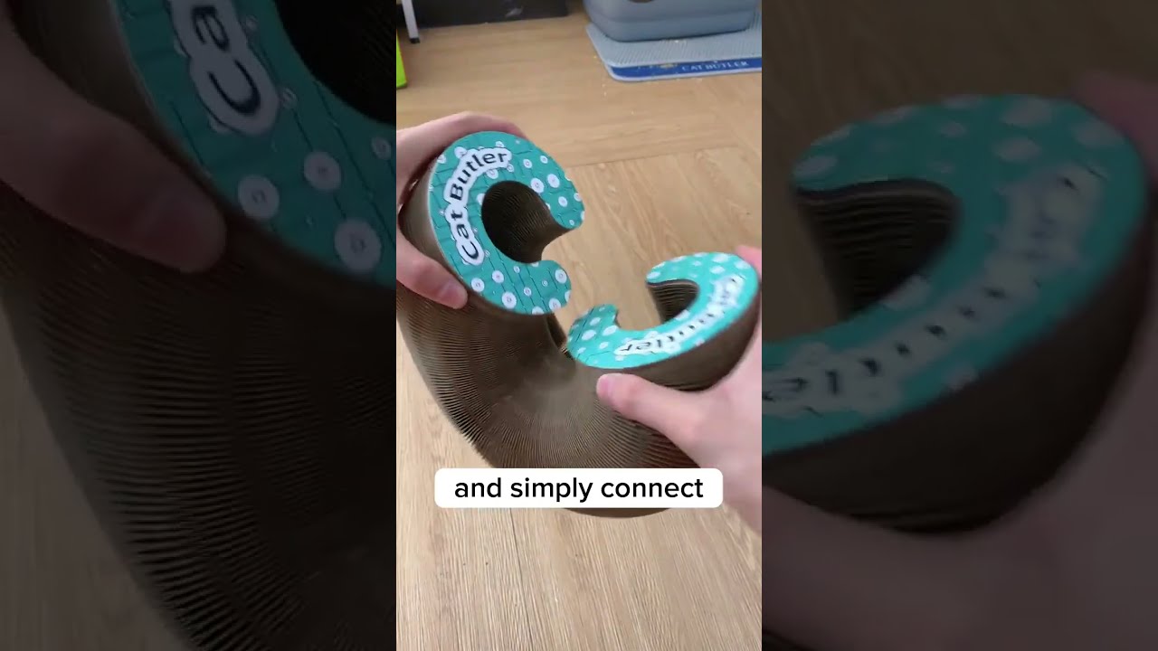 This Cat Toy Is Amazing