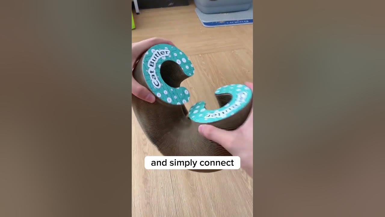 This cat toy is amazing