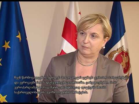 გიორგი მღებრიშვილმა ევროპარლამენტის დელეგაციას უმასპინძლა