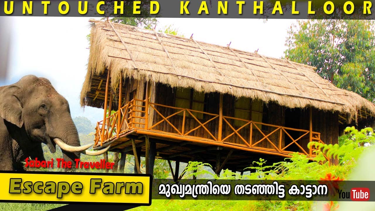 ESCAPE FARM | KANTHALLOOR  |തിരക്കുകളിൽ നിന്ന് എസ്‌കേപ്പ്  ചെയ്യാൻ ഒരിടം | KANTHALLOOR TOURISM