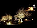 三渓園で夜桜をライトアップ