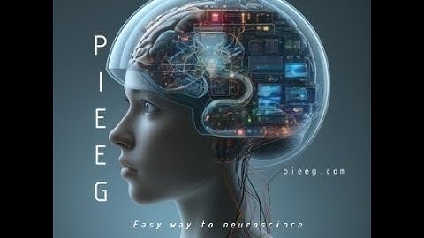 How to Become a Brain-Computer Interface Researcher? A Short Way with Python via Signal Processing