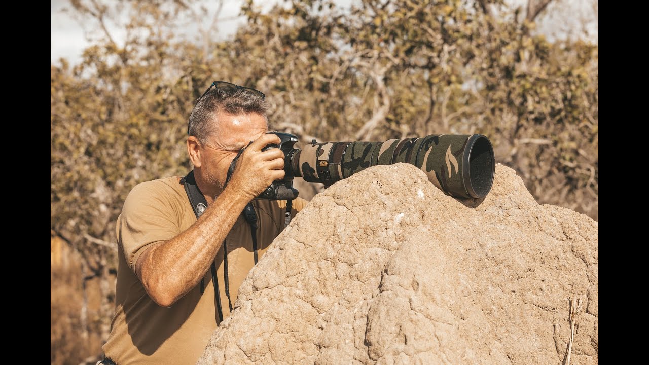 Cairns Birdwatching at the Forever Wild Tropical Wetlands Shared Earth Reserve