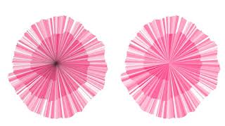 Algorithmic Twin Flower created in Processing