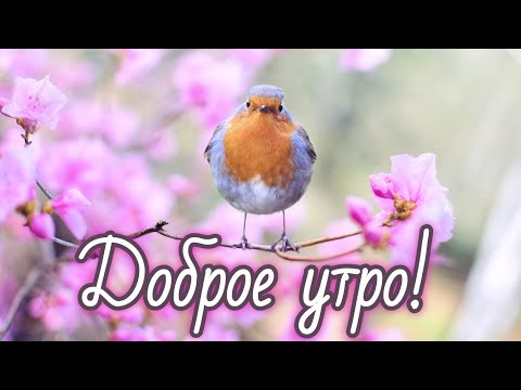 ❤️❤️❤️ПОЖЕЛАНИЕ НА ВЕСЬ ДЕНЬ❤️❤️❤️ С Добрым Утром Хорошего Дня. Доброе Утро! СТИХ