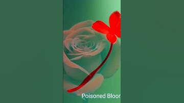 Thumbnail of Song of Soul || Poisoned Bloom