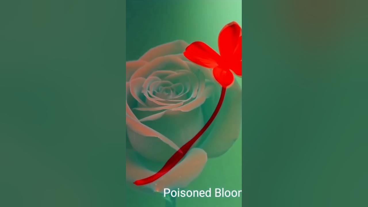 Song of Soul || Poisoned Bloom Song of Soul || Poisoned Bloom