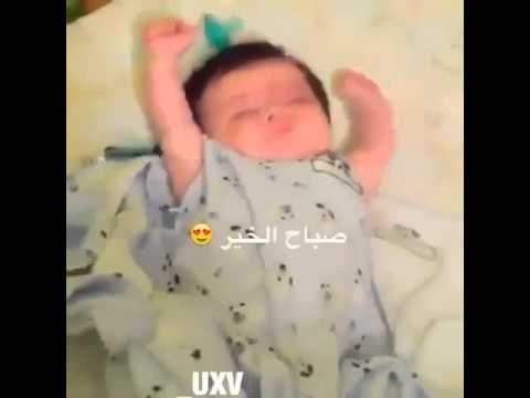 المهاد اليبانني