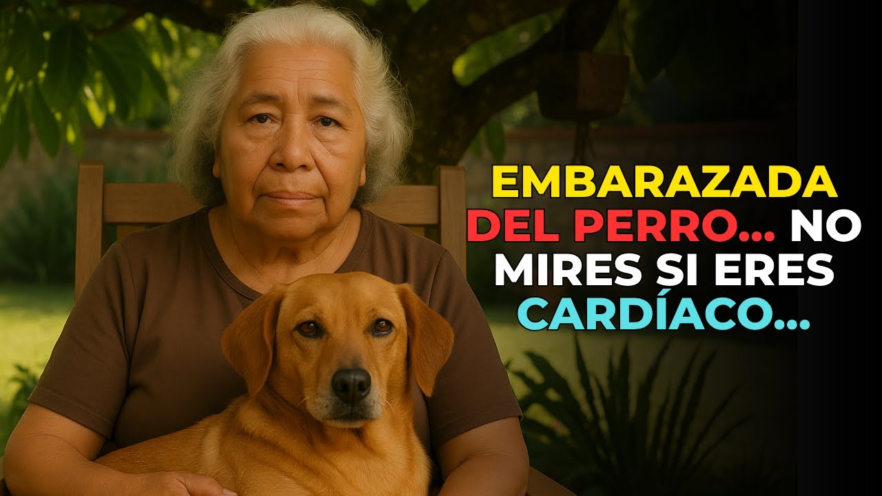 HISTORIA REAL: ESTA ABUELA QUEDÓ EMBARAZADA… ¡Y DIJO QUE ERA DEL PERRO!