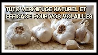 TUTO : Comment faire un vermifuge simple, naturel et efficace !