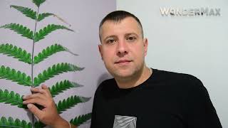 Установка WonderMax (альтернатива крупноформатного керамогранита)