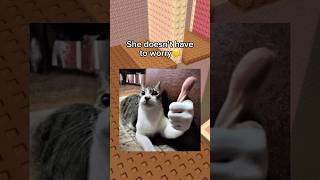 I Cant Let Her Down Again