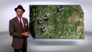 WELD COUNTY SKUNKS