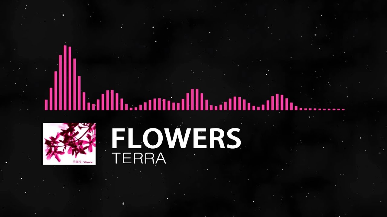 メロディ♪ マルチーズ2わんこ 花かご ☆rara Flowers by TERRA - YouTube