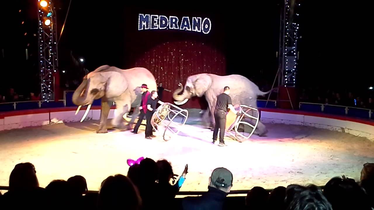 Gino Spindler´s Elefantendressur