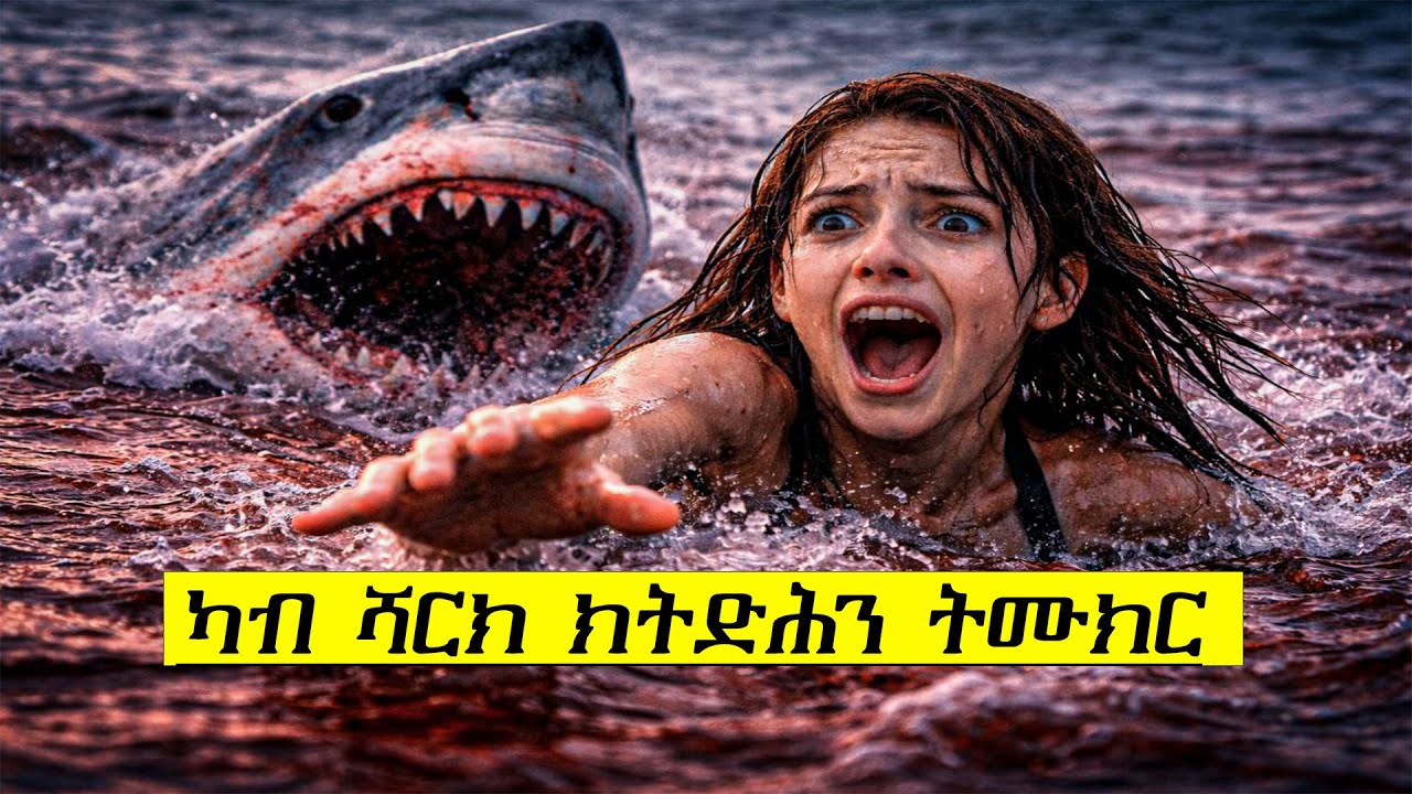 ን ክትግቡኒ ኢላ ዝከደት አደዳ ሻርክ  ኮይና ተመሊሳ !!!  [ ሓፂር ፊልሚ ብትግርኛ ]