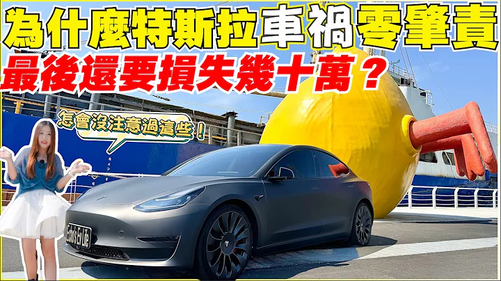 Model 3被撞，保险不是有保就好｜卖车损失大条了，电动车险必买的一项内容【Echo’s Ev Life】 - 天天要闻