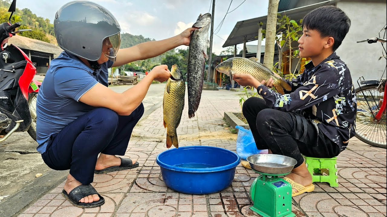 TIMELAPSE: A viagem de pesca de Nam para pegar peixes grandes para vender. O cotidiano de Nam