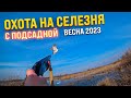 ОХОТА НА СЕЛЕЗНЯ с ПОДСАДНОЙ. Весна 2023.Открытие сезона! #охотанаселезня #охотасподсадной