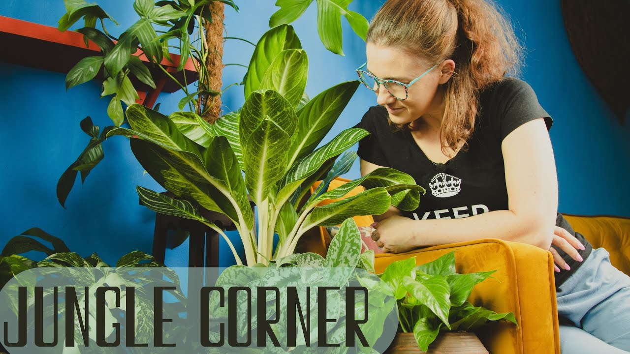 Kawałek dżungli w blokowisku - urządzam Jungle Corner