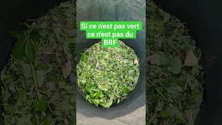 Entre l’arnaque des revendeurs et l’incompétence des faux jardiniers  influenceurs .....y a moi😅