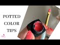 Potted soft gel color tips  tricks  my favorite brush for color