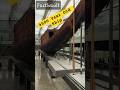 This Pharaoh Ship Survived 4500 Years 😳 | No nail and metal #mystery #ancientegypt #history #facts
