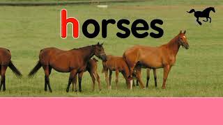 Starfall Letter H - Horses