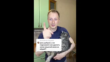 #советдня Кот написал в ботинок! Что делать? Как избавиться от запаха кошачьей мочи в обуви