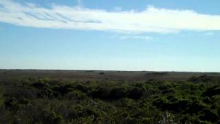 Tide Riders in the Everglades January 2012