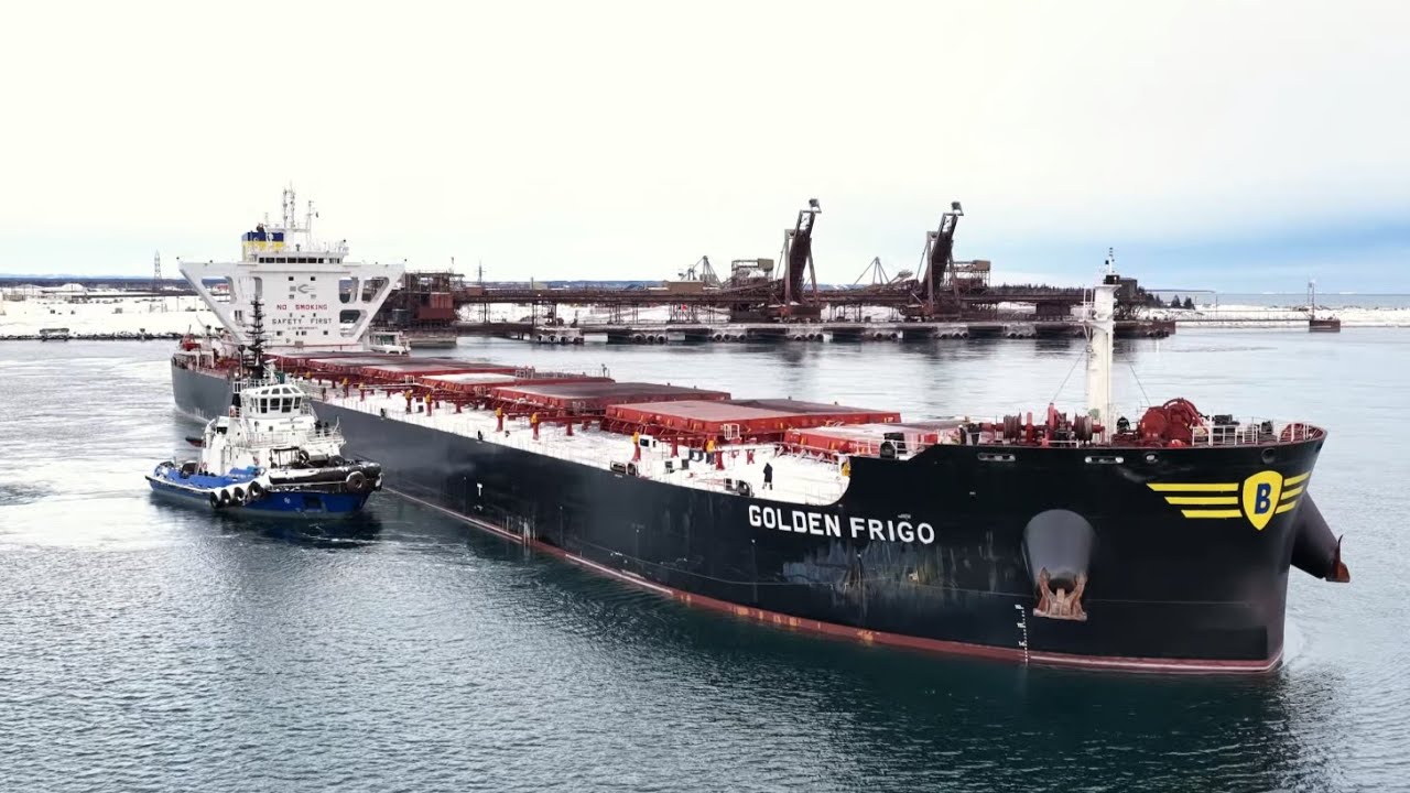 A New Funnel Livery and Rechristening! Bulk Carrier M.V. Golden Frigo