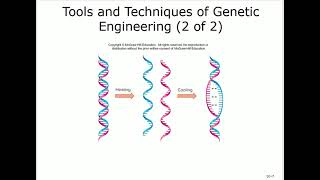 Microbiology Chapter 10 Genetic Engineering By Dr Saudi