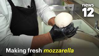 How do you make fresh mozzarella?