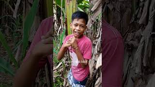 Nekad Lempar Sarang Tawon